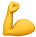 muscle